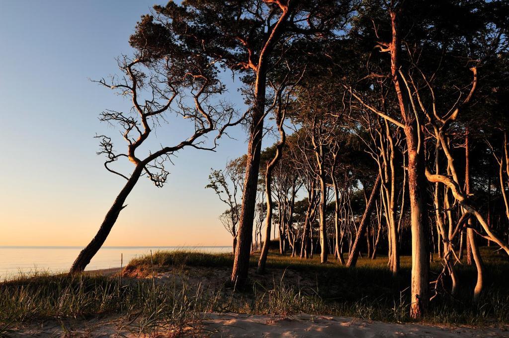 Hotel & Restaurant Seebruecke Zingst Quarto foto